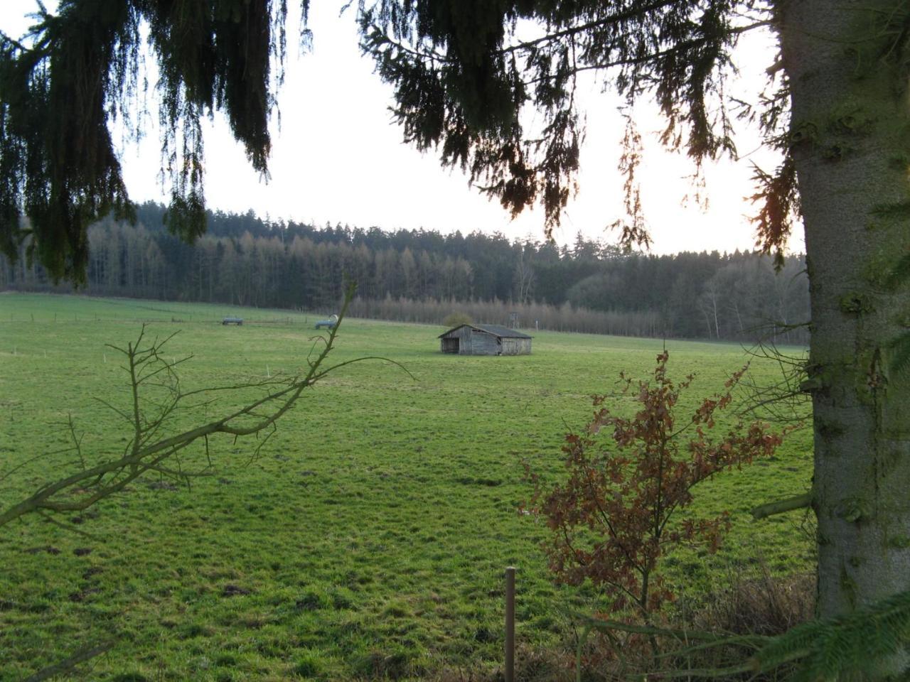 Ferienwohnung Prior Bad Emstal Exterior photo